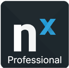 Nx Witness Professional L01-PRO Kameralizenz